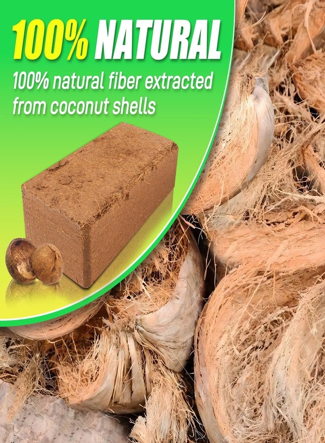 Anothera Coco Coir Brick for Plants- 6 Pack Premium 100% Organic Peat Moss Mix with Low EC & pH Balance, Fiber Coconut Husk for Planting, Gardening, Potting Soil Substrate - Image 2