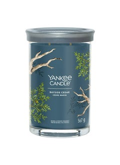YANKEE CANDLE Signature Scented Candle | Bayside Cedar Large Tumbler Candle with Double Wicks | Soy Wax Blend Long Burning Candle | Perfect Gifts for Women  - Image 1