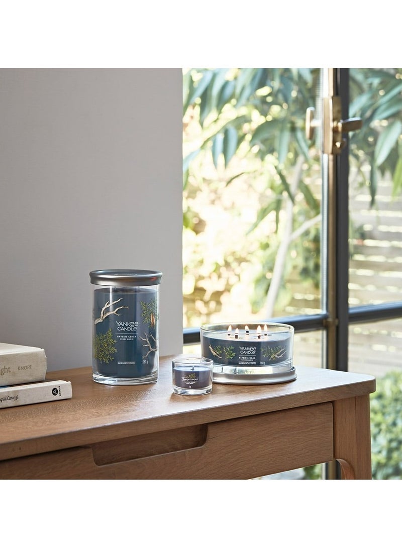 YANKEE CANDLE Signature Scented Candle | Bayside Cedar Large Tumbler Candle with Double Wicks | Soy Wax Blend Long Burning Candle | Perfect Gifts for Women - Image 3