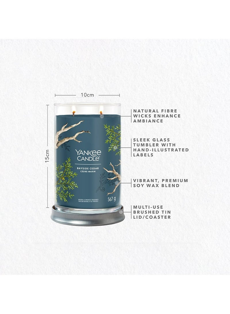 YANKEE CANDLE Signature Scented Candle | Bayside Cedar Large Tumbler Candle with Double Wicks | Soy Wax Blend Long Burning Candle | Perfect Gifts for Women - Image 4
