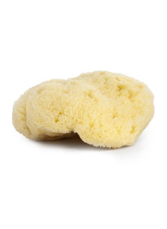 Najel Organic Skincare - Natural Sponge 9-10 cm