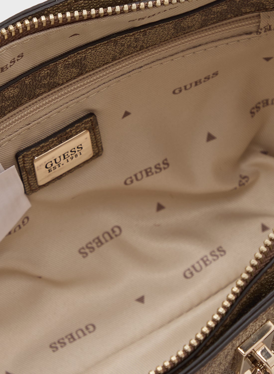 كوينزلاند ميني ساتشل