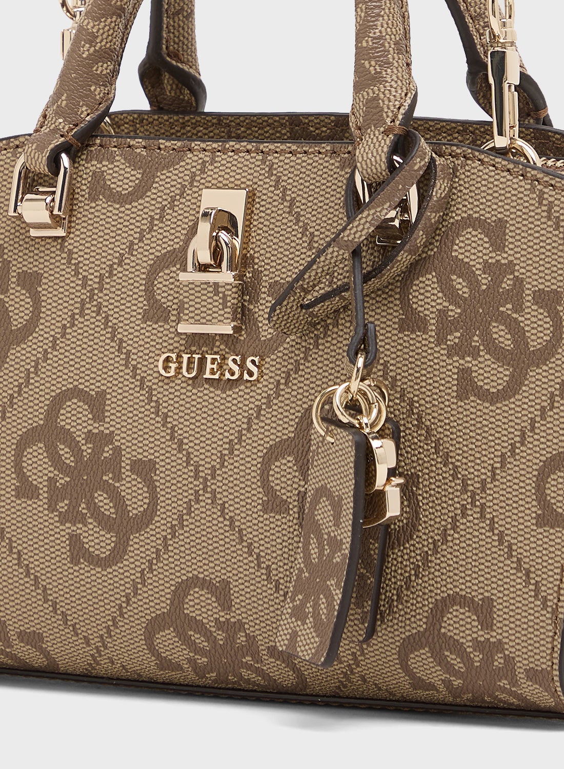 كوينزلاند ميني ساتشل