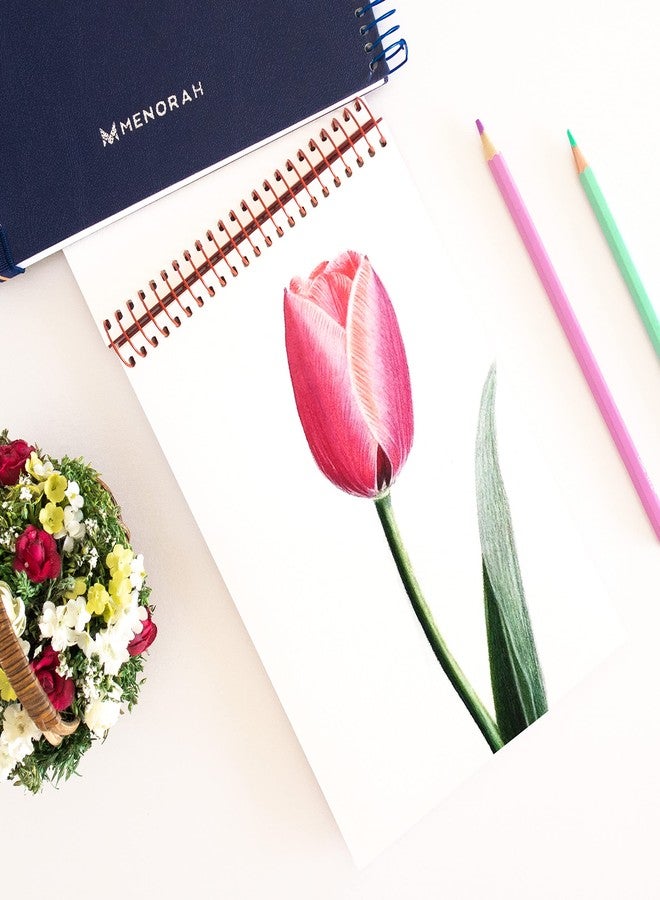 MENORAH ورق مينورا - مقاس A5 - دفتر رسم فني - 180 غرام/م² - غلاف حلزوني، دفتر رسم - 100 صفحة/50 ورقة (مقاس 14.8 سم × 21.0 سم) - غلاف معدني حلزوني صلب - دفتر رسم - منظر طبيعي (أزرق)، ألوان زيتية - Image 5