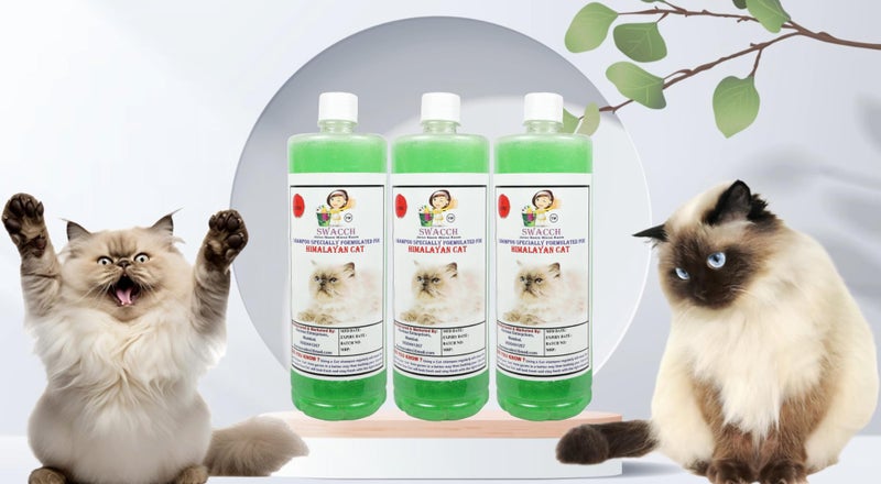 SWACCH Shampoo Specially FORMULATED for Himalayan Cat (1 Litre) (Pack of 3) Neem Alovera - Image 1