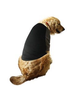 .Pet Clothes Solid Striper Raglan Full Sleeves Round Neck Dog Streetwear T-Shirt/Tees Apparel For Dogs./Medium (Chubby Pugs, Beagle Etc.)