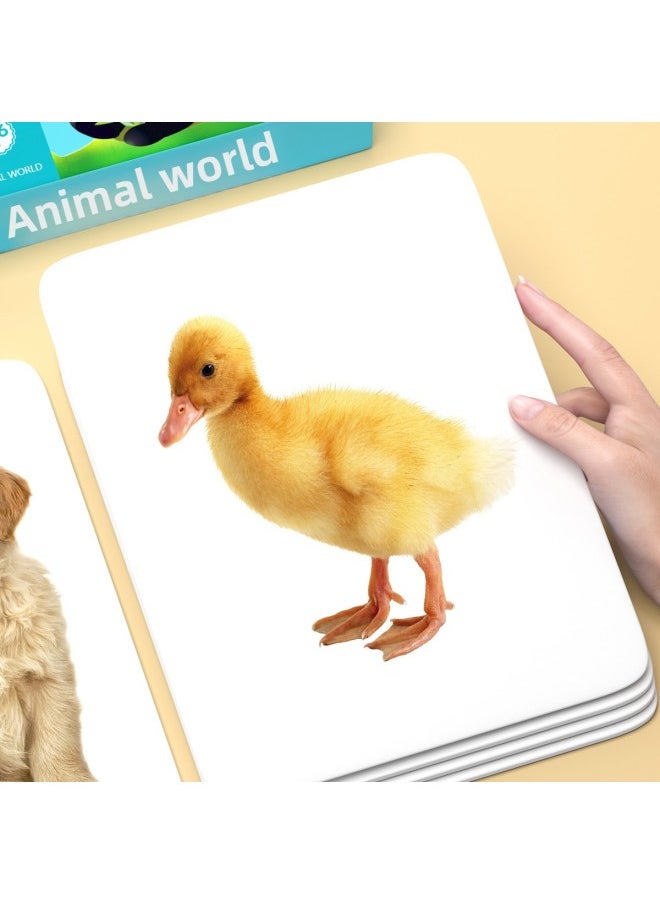 Generic - Animal Cognition Card Baby Early Education Infant Reading Figure Recognition Enlightenment Book One-Year-Old Children Literacy Flash Card Complete Set-Specifications:[size] Animals + Fruits + Vegetables + Traffic + Characters + Numbers (648 Graphic And Texts) - Image 1