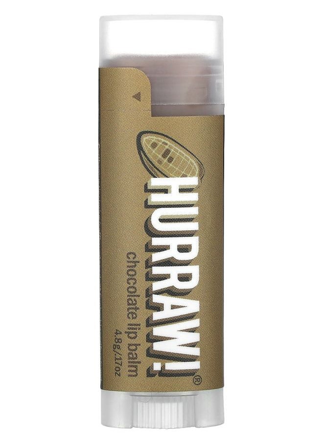 Lip Balm Chocolate 0.17 oz (4.8 g) - pzsku/ZB15CB77791DCEF9A72E6Z/45/_/1731327134/57a38993-e54e-4030-af30-8e9ccb5b416b