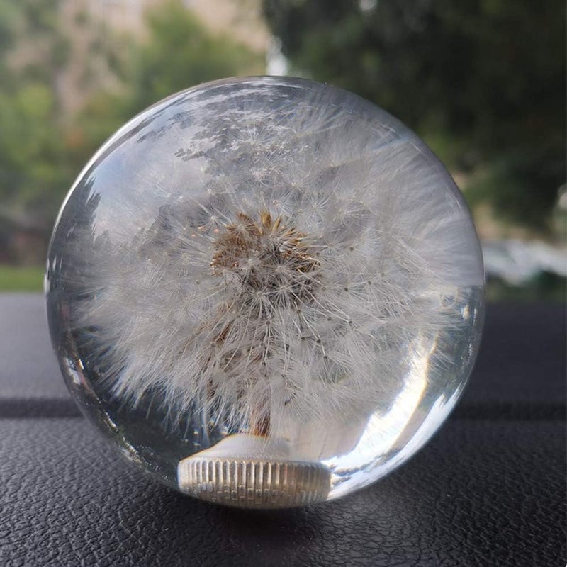 Sakali Crystal Ball Gear Shift Knob with Dandelions - Image 3