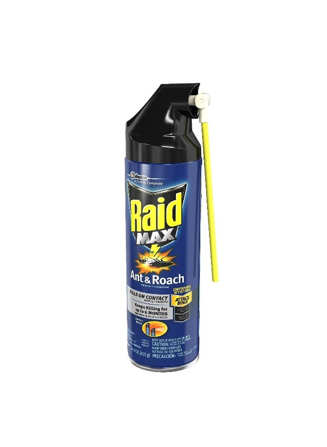 SC Johnson Raid Max Roach Killer Aerosol  - Image 2