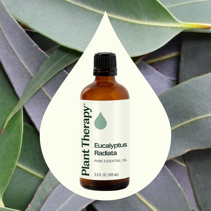 Plant Therapy Eucalyptus Radiata Essential Oil 100 mL (3.3 oz) 100% Pure, Undiluted, Therapeutic Grade - Image 3