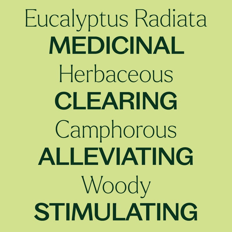 Plant Therapy Eucalyptus Radiata Essential Oil 100 mL (3.3 oz) 100% Pure, Undiluted, Therapeutic Grade - Image 4