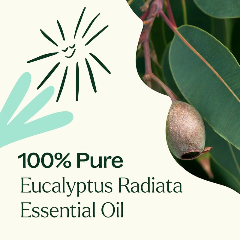 Plant Therapy Eucalyptus Radiata Essential Oil 100 mL (3.3 oz) 100% Pure, Undiluted, Therapeutic Grade - Image 5