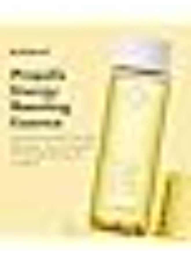 باي ويشترند خلاصة البروبوليس المعززة للطاقة من ويشترند، 100 مل - Image 4