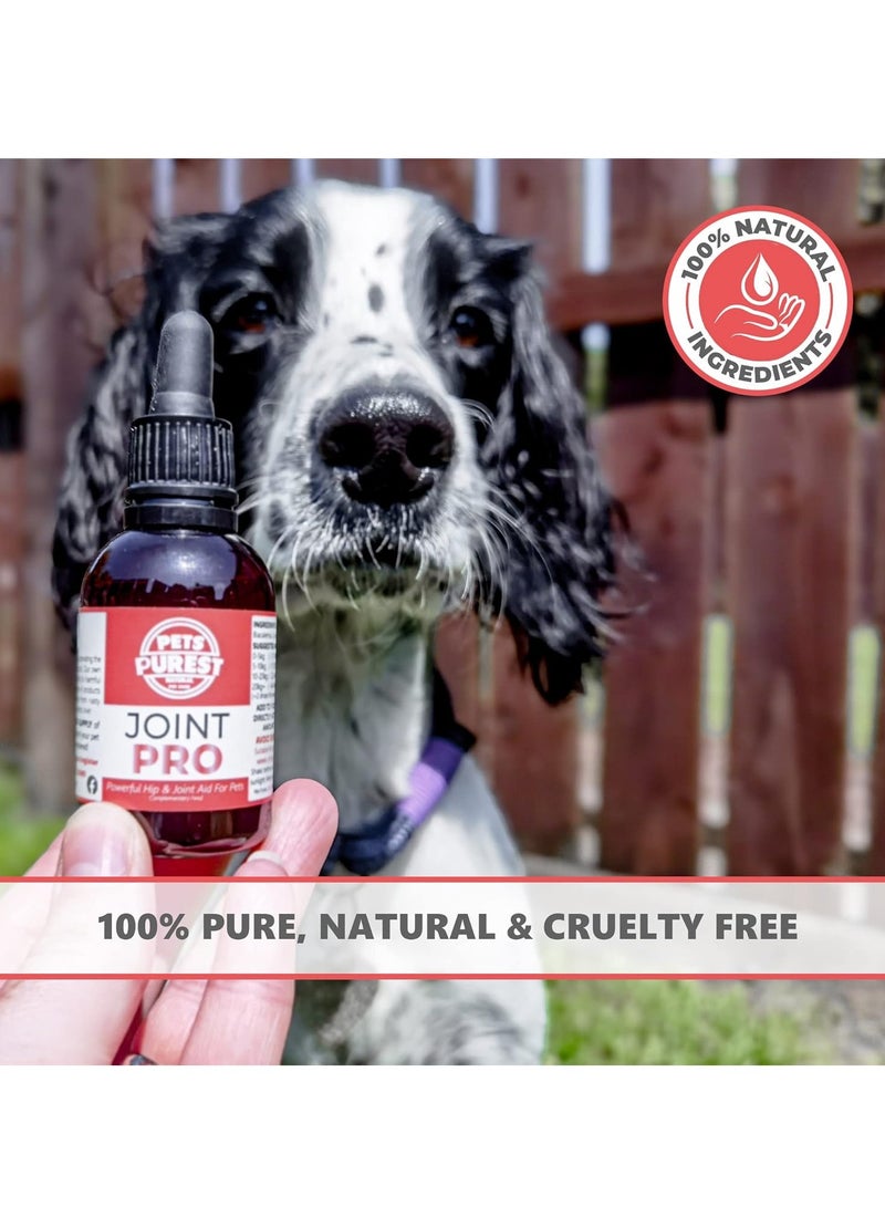Pets Purest Hip and Joint Supplement for Dogs Adult and Senior 100 Natural Liquid Joint Care with Turmeric Supports Mobility and Flexibility - Image 3