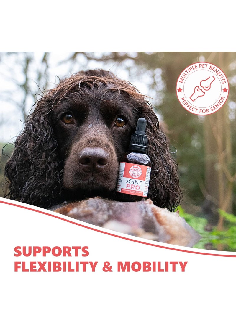 Pets Purest Hip and Joint Supplement for Dogs Adult and Senior 100 Natural Liquid Joint Care with Turmeric Supports Mobility and Flexibility - Image 4
