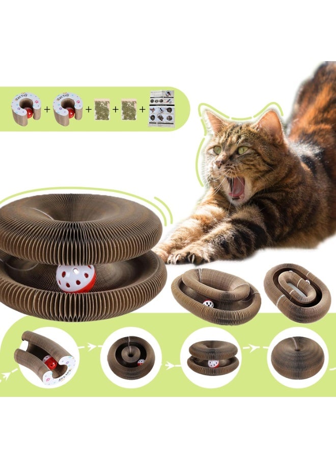 general cat Toy Magic Organ Cat Scratching Board Toy Kitty curlz Foldable Accordion Cats Toy - Image 2
