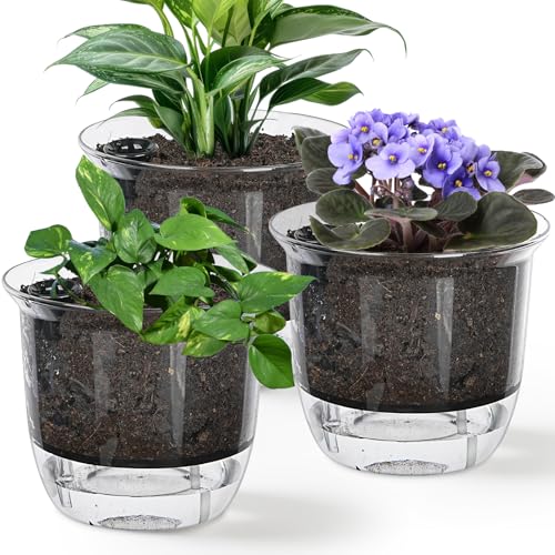 IWNTWY Plant Pots 6 inch Set of 3 Self Watering Pots for Indoor Outdoor Plants Flowers Self Watering Planters with Reservoir Drainage Hole and Absorbent Cotton Rope 3 Large - Image 1