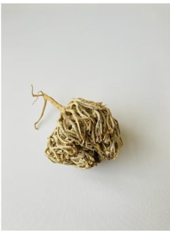 Zahr Jericho rose Anastatica hierochuntica Maryam Flower, Mary's flower The Resurrection Plant ( Pack of 3 ) - Image 4