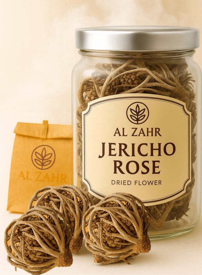 Zahr Jericho rose Anastatica hierochuntica Maryam Flower, Mary's flower The Resurrection Plant ( Pack of 3 ) - Image 1
