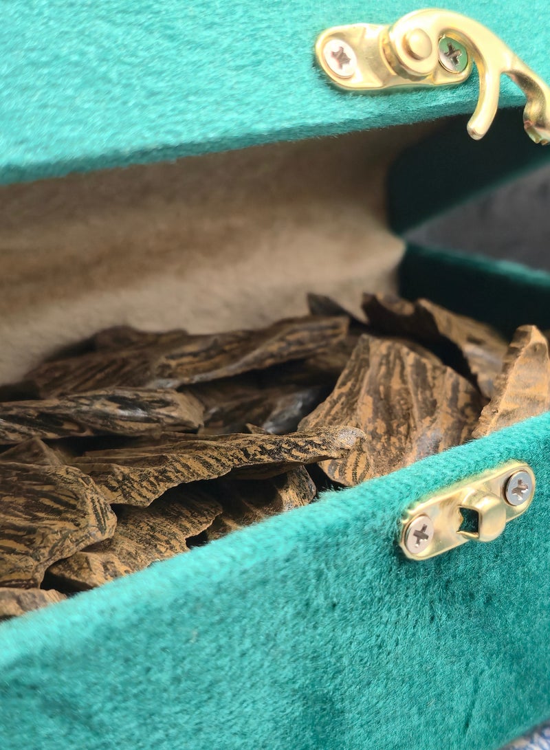 عود كلمنتان محسن ربع كيلو 250 جرام  متوسط الجودة مع صندوق حفظ باللون الأخضر - Image 4