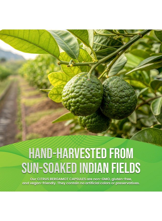 Leaping Lynx Citrus Bergamot Capsules 1200mg - Heart & Cholesterol Support Supplement - 120 Capsules, 60-Day Supply - Antioxidant Flavonoids & Polyphenols - Non-GMO, Natural, Cardiovascular Health for Men & Women - Image 3