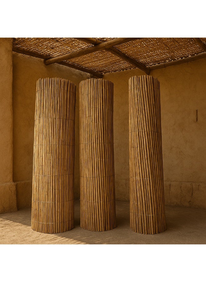 Bamboo sticks 6*2meters made in Pakistan - Image 1