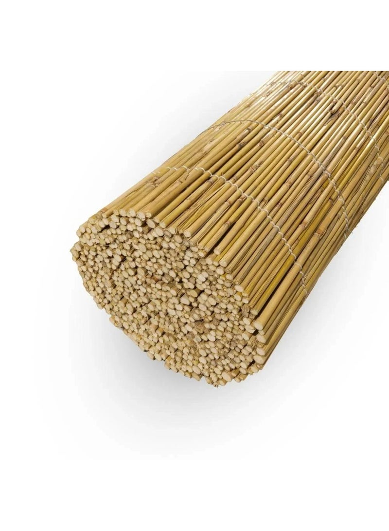 Bamboo sticks 6*2meters made in Pakistan - Image 3