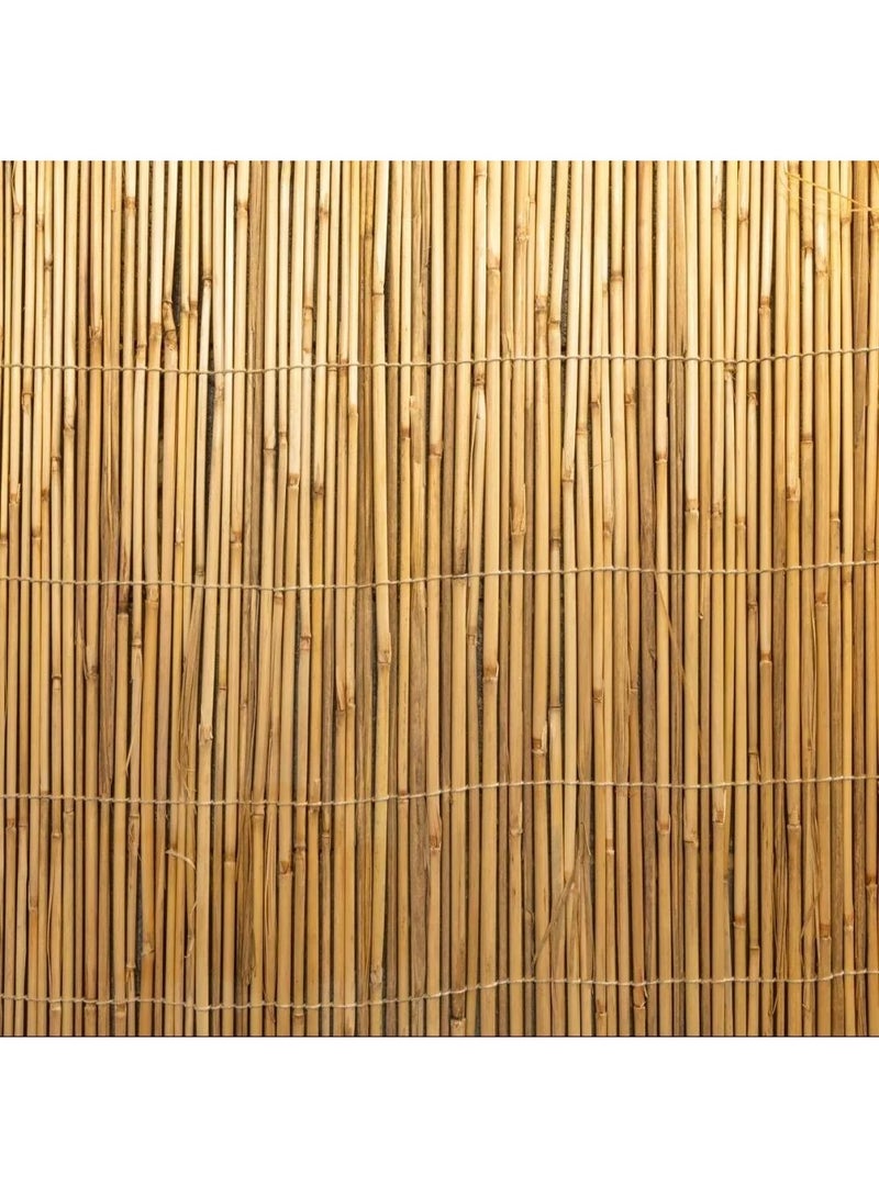 Bamboo sticks 6*2meters made in Pakistan - Image 4