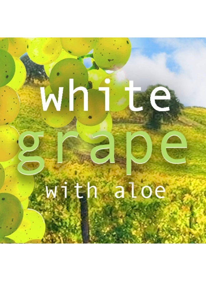 di palomo Di Palomo White Grape & Aloe Handbag Essentials Set | Best Price  Qatar | Doha