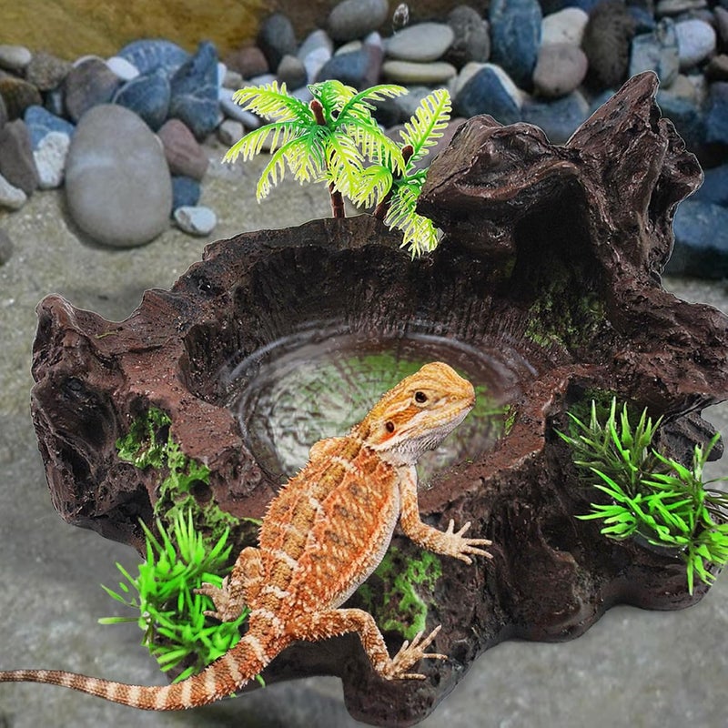 kathson Resin Reptile Bowl Bearded Dragon Food Dish Lizard Water Dish Reptiles Feeding Bowls with Feeder Tweezer for Leopard Gecko Tortoise Chameleon Water Frog Hermit Crab(A) - Image 3