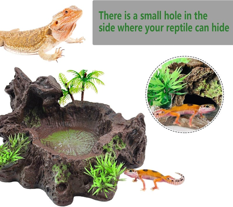 kathson Resin Reptile Bowl Bearded Dragon Food Dish Lizard Water Dish Reptiles Feeding Bowls with Feeder Tweezer for Leopard Gecko Tortoise Chameleon Water Frog Hermit Crab(A) - Image 4
