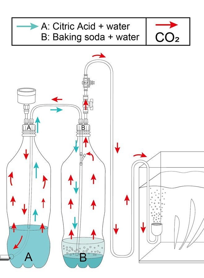 Clscea طقم نظام مولد CO2 DIY للأكواريوم، G200 - Image 3