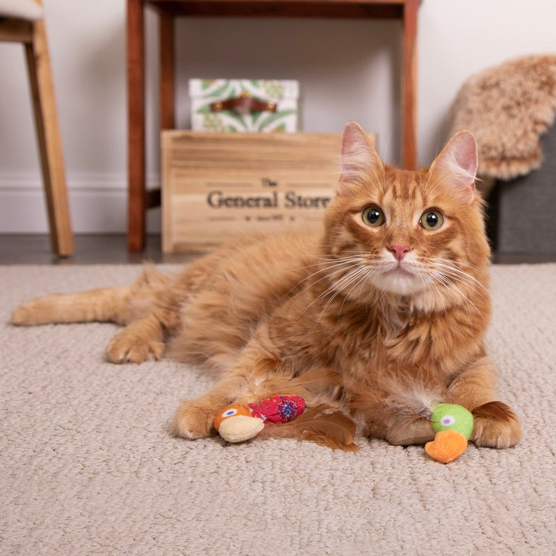 SmartyKat Instincts by SmartyKat 2-Pack HappyNip Love Mates Feather Birds Plush Cat Toys, Contains Catnip & Silvervine - Orange/Green, 2-Pack - Image 3