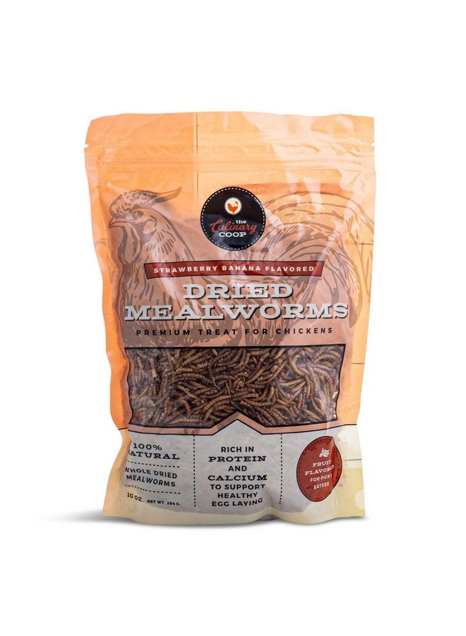 Fluker's Fluker's Culinary Coop Strawberry Banana Dried Mealworm Treat for Chickens, 10 oz - Image 1