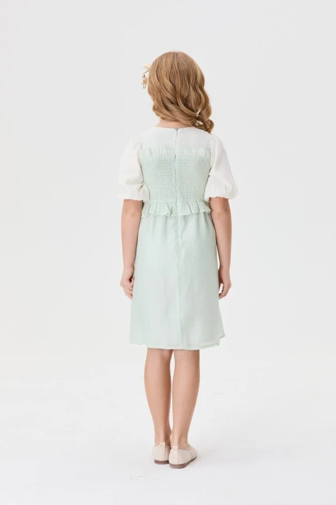 Tenda Smocked Panel Dress