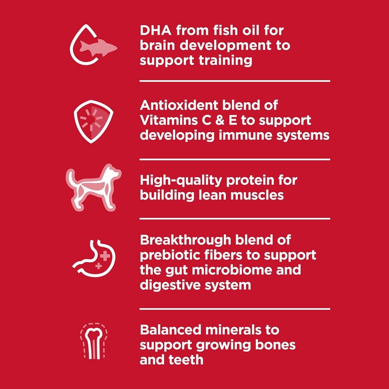 Hills هيلز ساينس دايت جرو طعام جاف للكلاب بنكهة الدجاج والأرز البني 275 رطل - Image 4