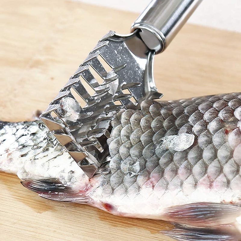 APURK APURK Fish Scale Scraper and Remover (Stainless Steel) Skin Cleaner Shaver for Fast Cleaning Skin Cooking Tools Saw Tooth Brush Machine for Kitchen Scaler/Cutting Knife Peeler Tool (Pack of 1)  - Image 5