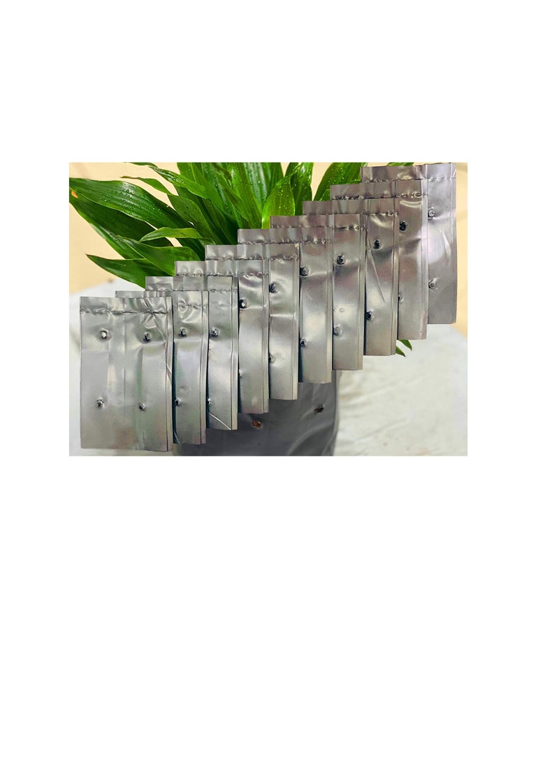 Generic Seeding Bags Small Plant Grow Bags Plastic Seedling Raising Pots Gardening Supply for Home Garden | 100 Pcs  - Image 2