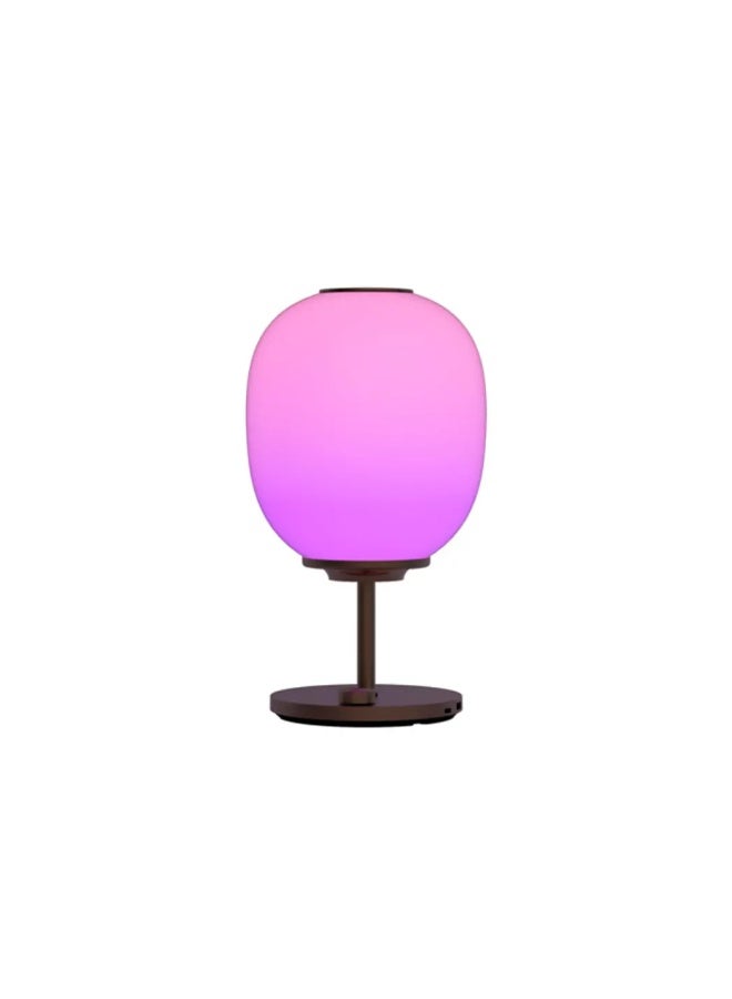 Season Atmosphere Light with Speaker & Aroma Diffuser JW-2201 - Image 2