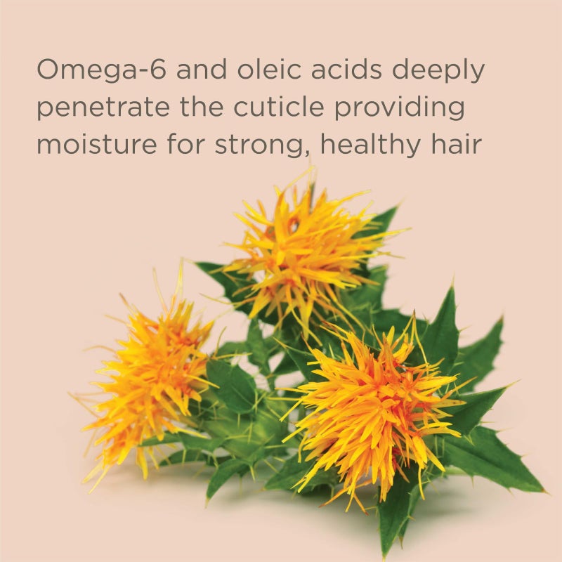 Hairitage Deep Moisture & Restore Deep Conditioner with Safflower Oil for Dry, Thick Hair - Hydrating - for Coily + Curly + Wavy Hair Types - Vegan for Women + Men, 13 fl. oz. - Image 5