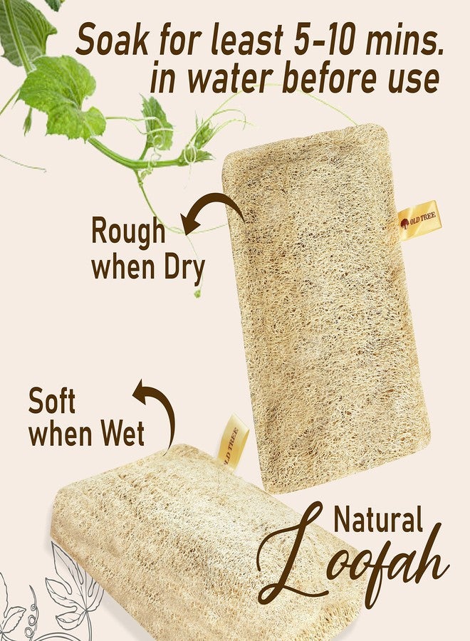 أولد تري ليفة استحمام مستطيلة الشكل من أولد تري (عبوة من قطعتين) للنساء والرجال | إسفنجة ليفة طبيعية 100% للاستحمام | ليفة طبيعية صديقة للبيئة وقابلة للتحلل الحيوي | ليفة طبيعية قابلة للتحلل الحيوي - Image 3