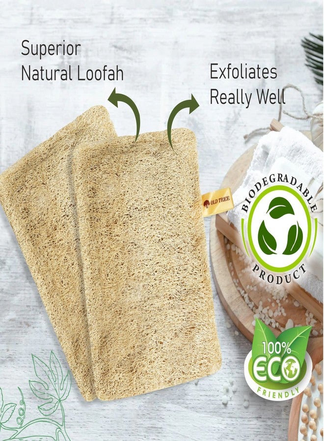 أولد تري ليفة استحمام مستطيلة الشكل من أولد تري (عبوة من قطعتين) للنساء والرجال | إسفنجة ليفة طبيعية 100% للاستحمام | ليفة طبيعية صديقة للبيئة وقابلة للتحلل الحيوي | ليفة طبيعية قابلة للتحلل الحيوي - Image 4