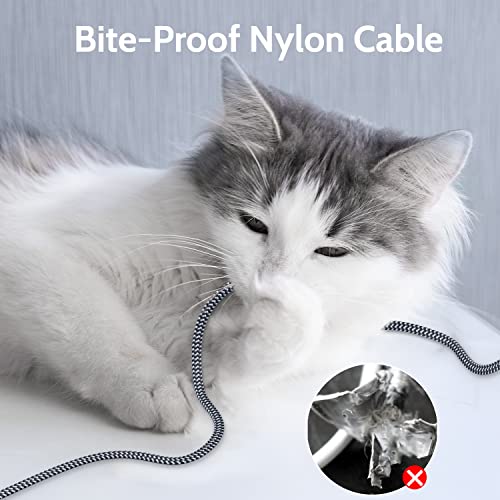 MORELECS Cat 7 Ethernet Cable 20ft - Nylon Braided Flat High Speed Internet Cable LAN Cable Shielded Fast and Stable Ethernet Cord for Home and Office - Image 5