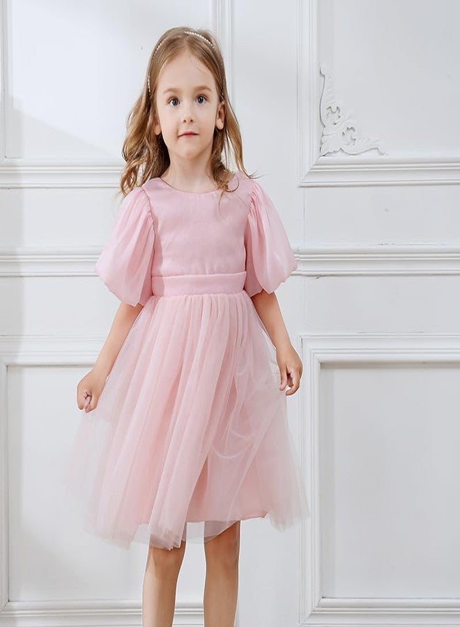 Tutu.kk Baby Girls Tutu Dress Puff Sleeve Backless Twirly Flared Birthday Party Princess Flower Girl Dresses Pink 12-18 Months - Image 2