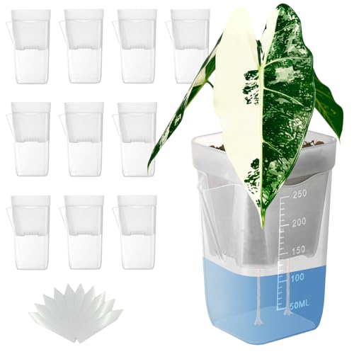 TineDew 10 Pack 2.5 inch Small self Watering pots for Indoor Plants,semi hydroponic pots for leca and pon,Clear Plastic Plant Pot for Propagation,Seedling,Cutting and African Violet (Clear, 2.5 inch) - Image 1