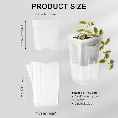 TineDew 10 Pack 2.5 inch Small self Watering pots for Indoor Plants,semi hydroponic pots for leca and pon,Clear Plastic Plant Pot for Propagation,Seedling,Cutting and African Violet (Clear, 2.5 inch) - Image 2