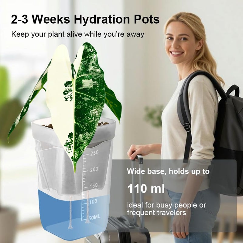 TineDew 10 Pack 2.5 inch Small self Watering pots for Indoor Plants,semi hydroponic pots for leca and pon,Clear Plastic Plant Pot for Propagation,Seedling,Cutting and African Violet (Clear, 2.5 inch) - Image 4