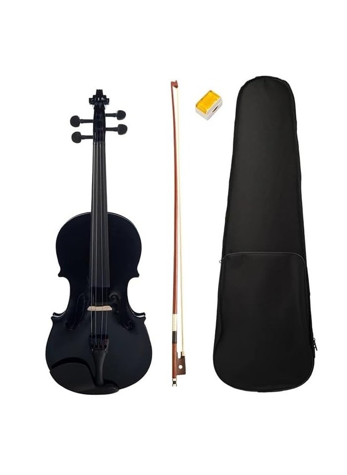 hoormusic Violin full size 4/4 black color with accessories  - Image 1