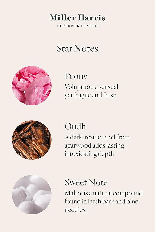 Miller Harris Tea Tonique Hand and Body Wash 300ml Coconut Extract Vitamin E Refreshing Uplifting Scent - Image 5